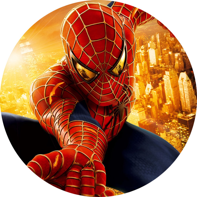 Capa Painel Redondo Mesa Homem Aranha Sublimado C/ Elástico 50×50Cm 09